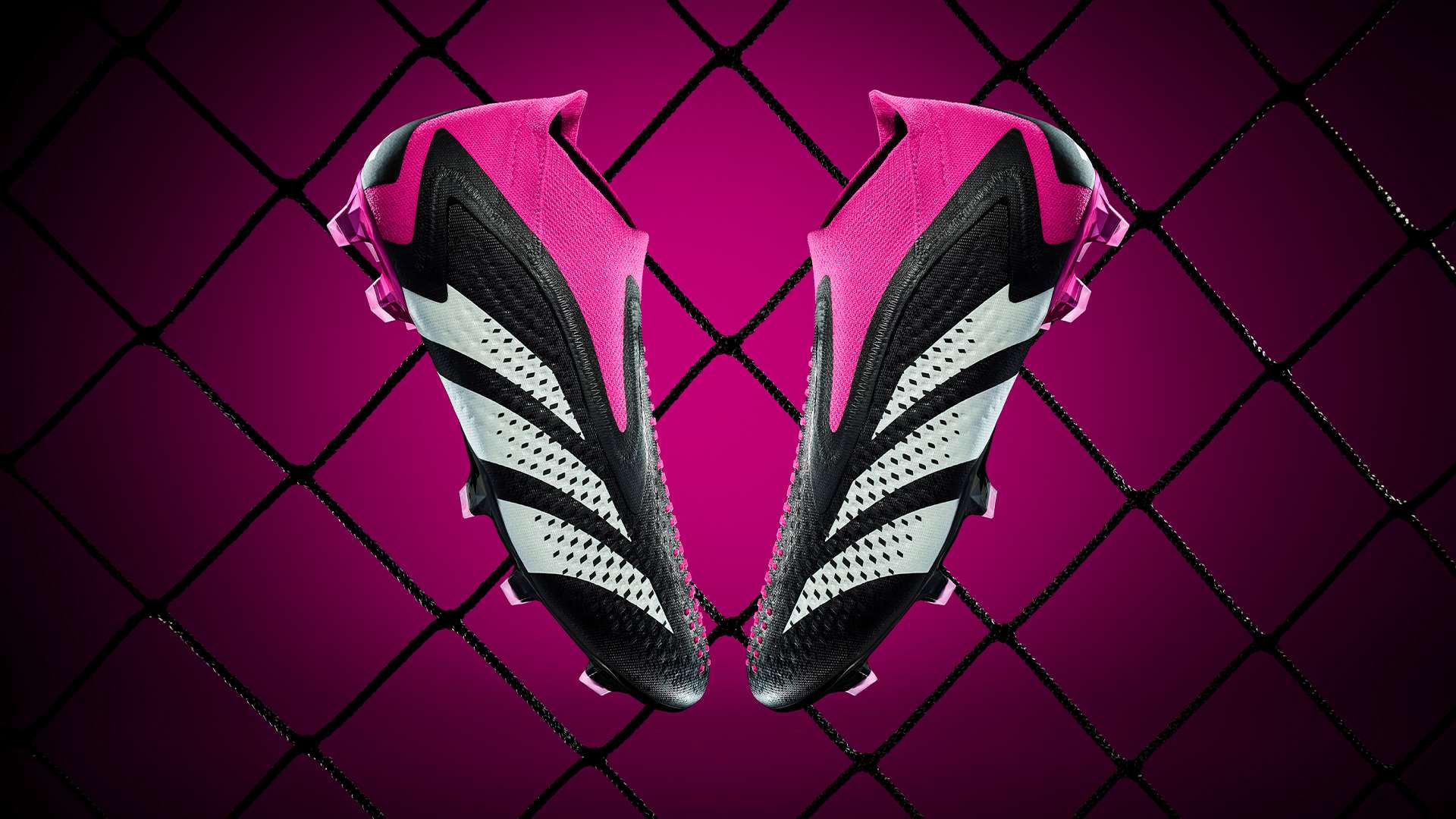 关注的另一 关注的另一