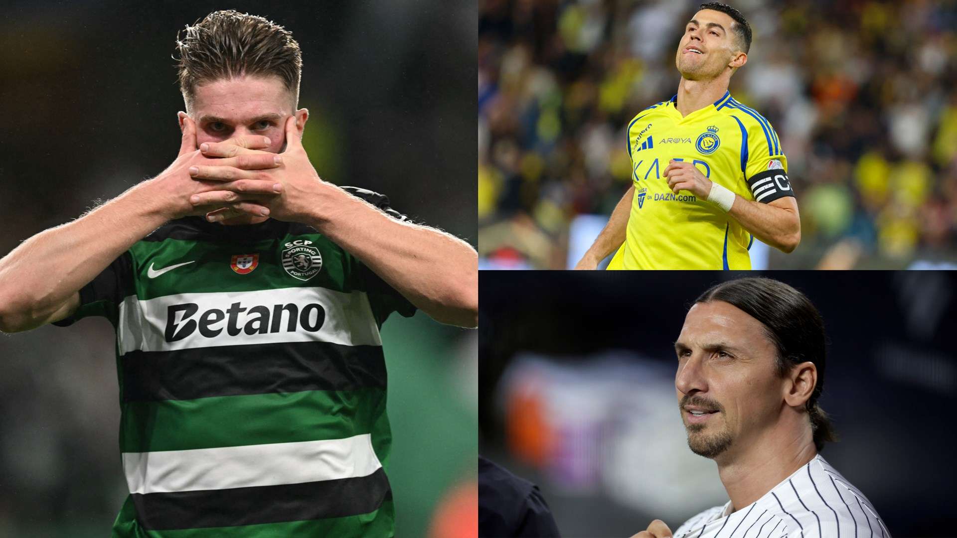 山东鲁能引 山东鲁能引