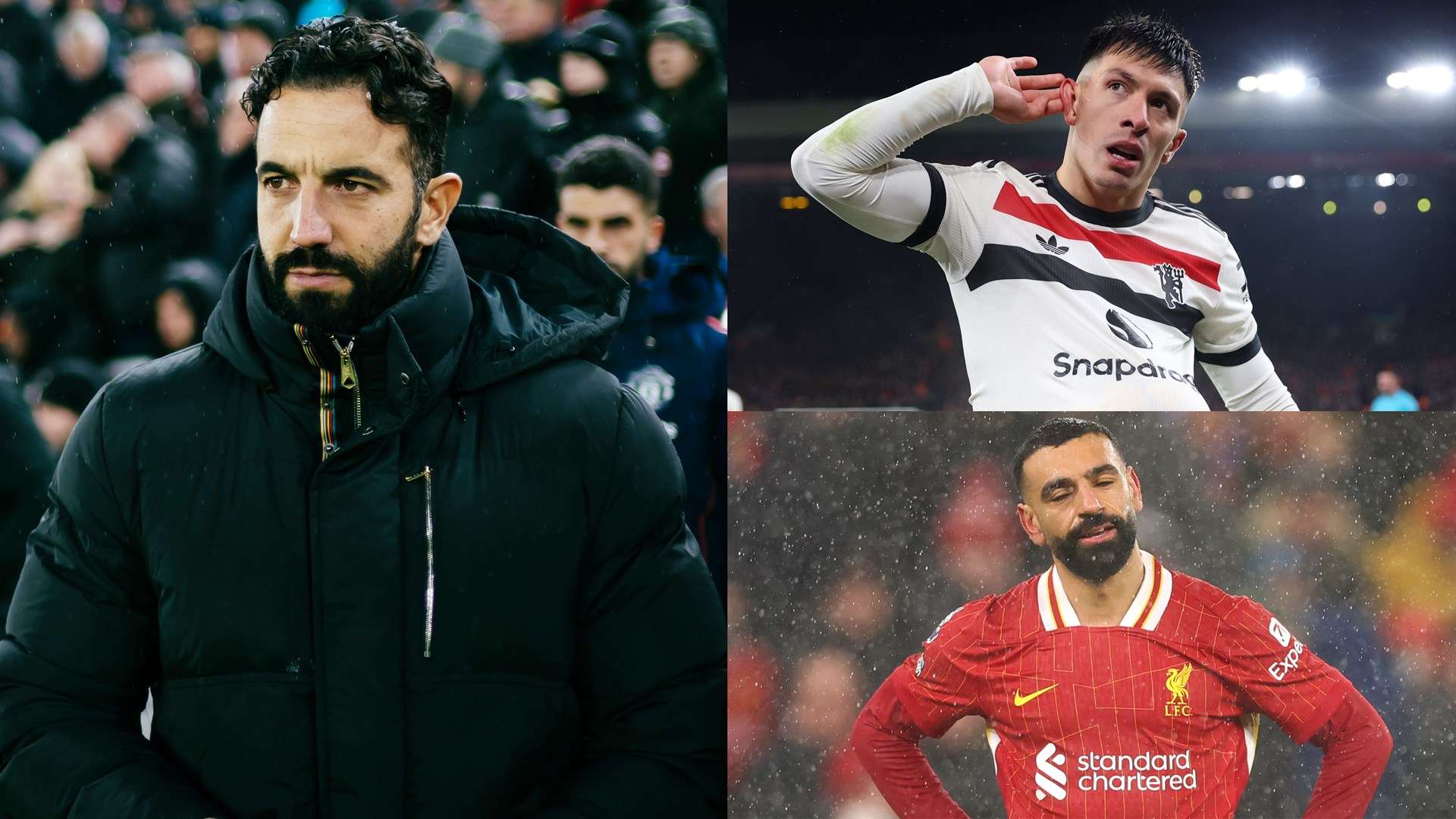 球迷不仅可 球迷不仅可